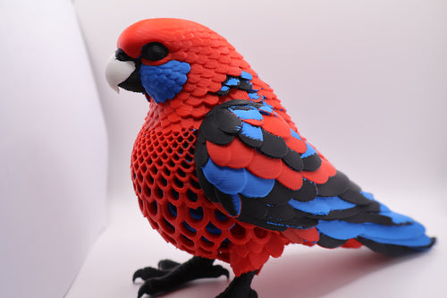 Crimson Rosella