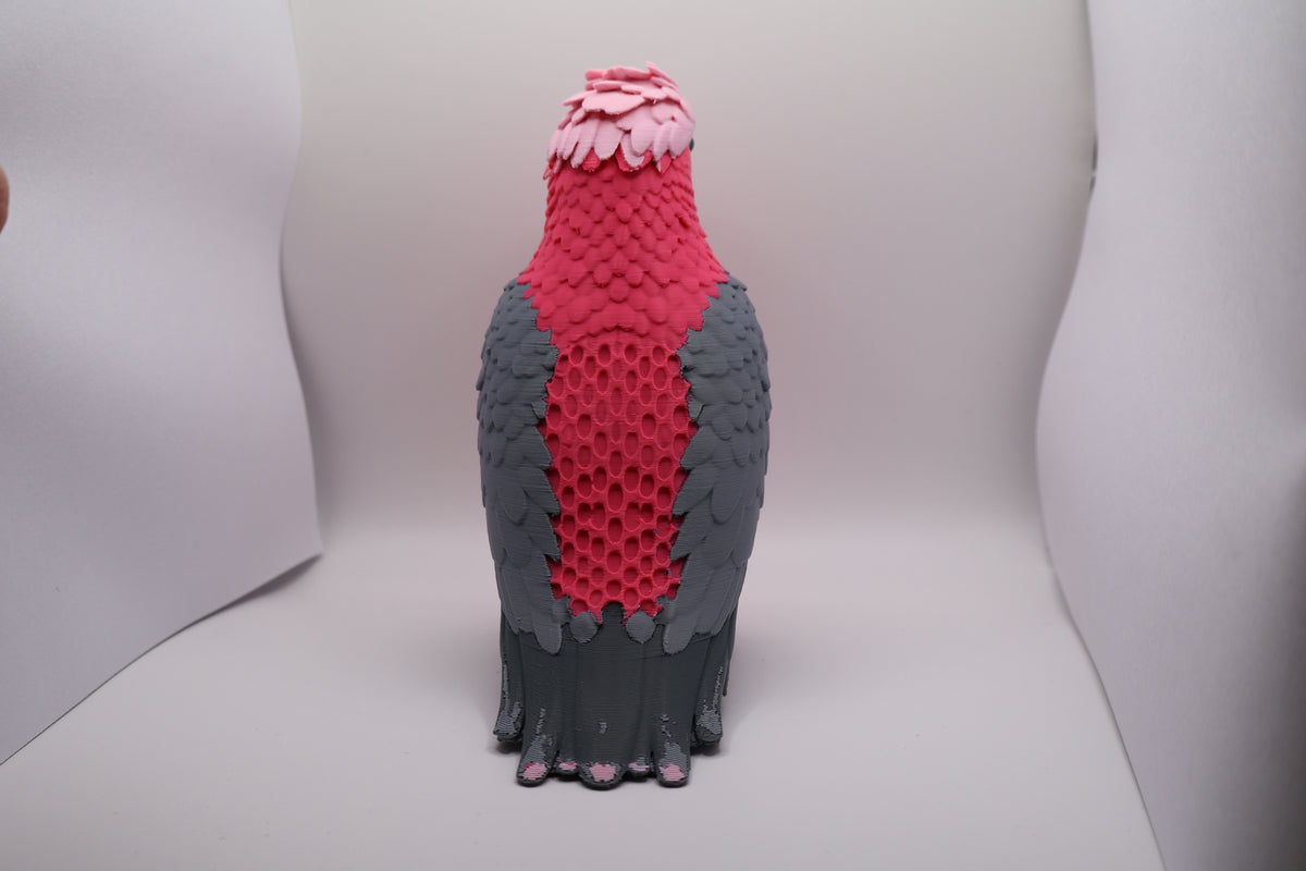Galah