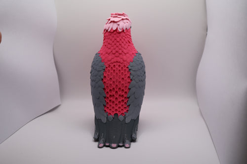 Galah