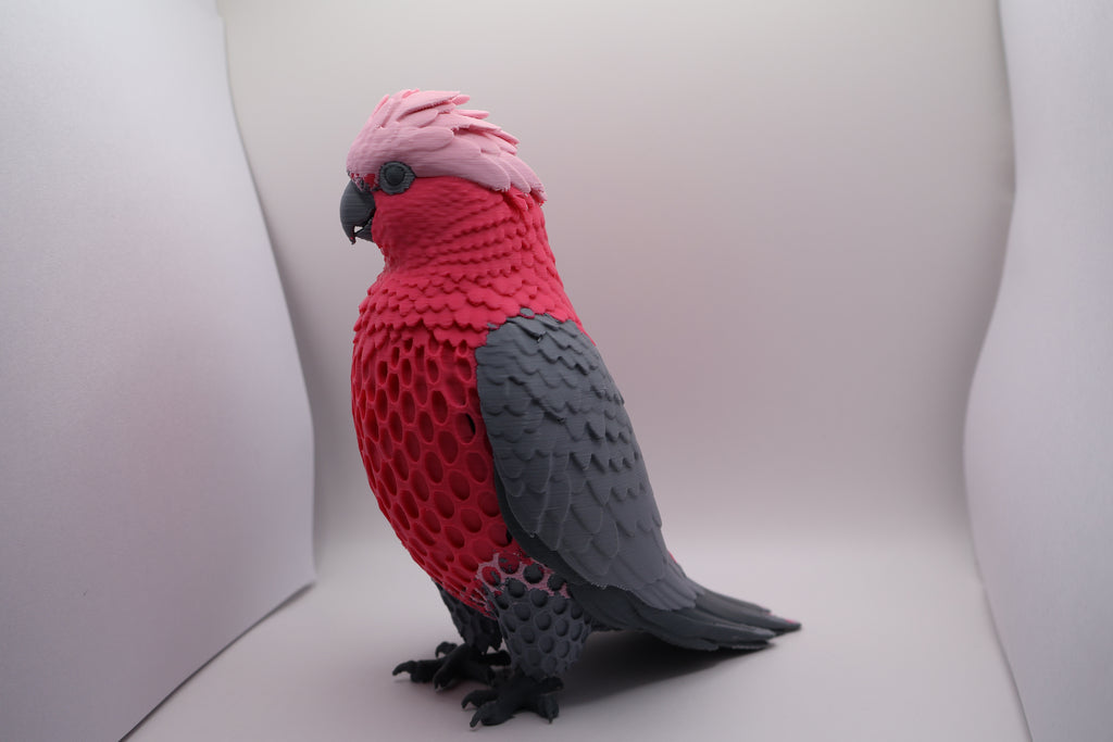 Galah