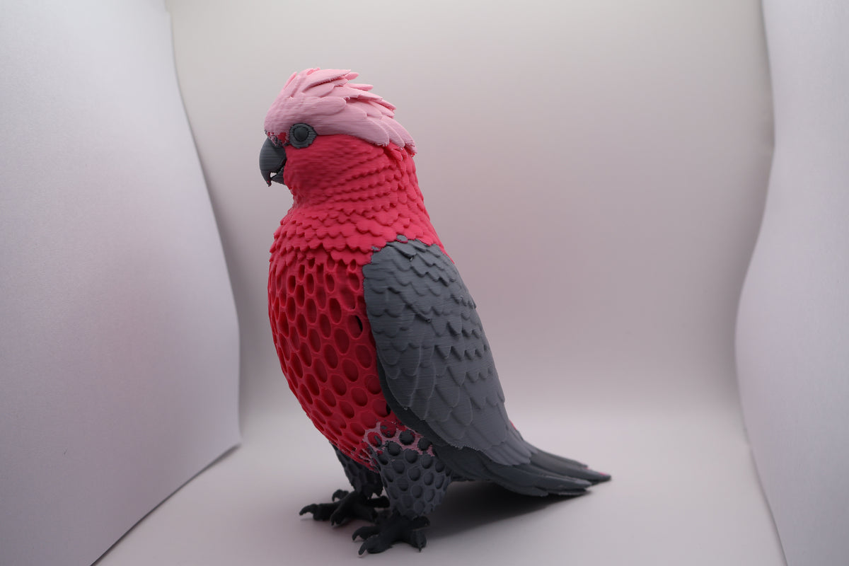 Galah