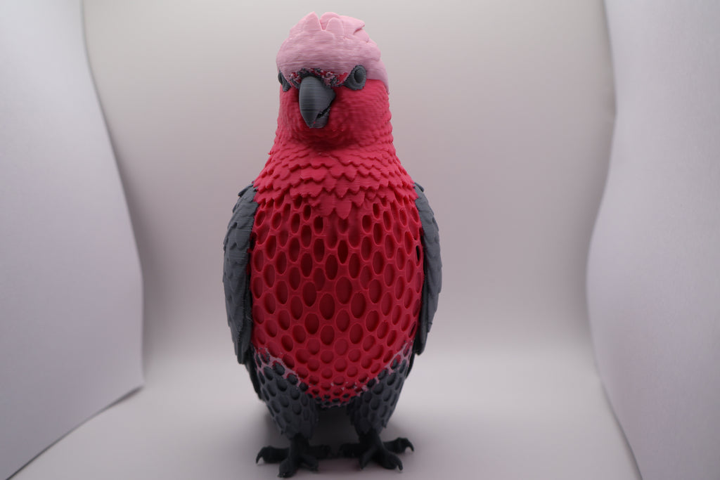 Galah