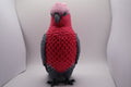 Galah