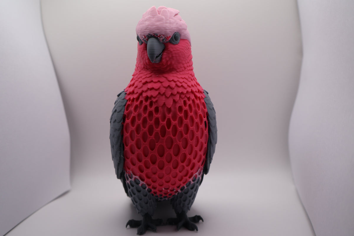 Galah